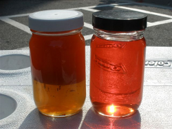 Contaminated and Purified Diesel Fuel Oil Sample Contaminated and Purified Diesel Fuel Oil Sample