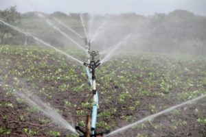 Water irrigation system
