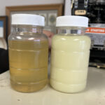 Before and after oil samples